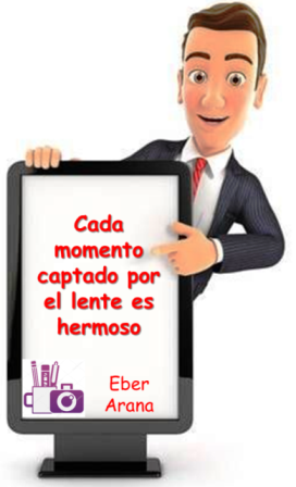 lented - copia.png