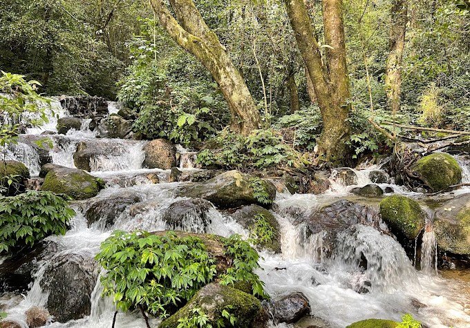 Shivapuri-Nagarjun-National-Park.jpg