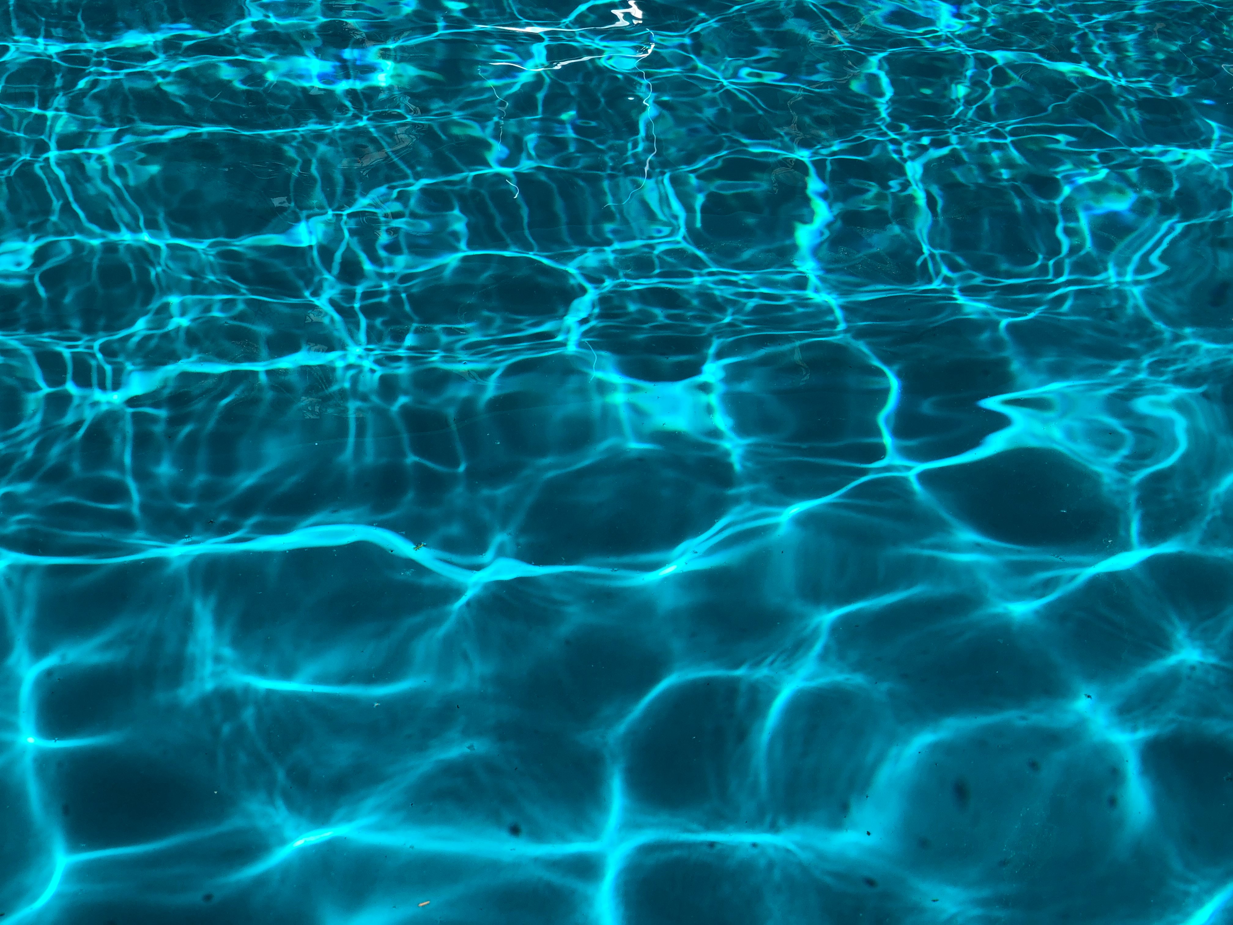 1CFF87C4-E104-41BB-87E3-238AB13F4D08.jpeg