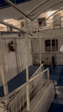 IMG_1421 (2).gif
