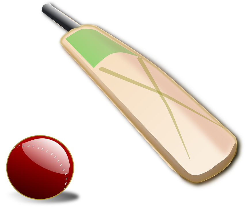 cricket-150560_960_720.png
