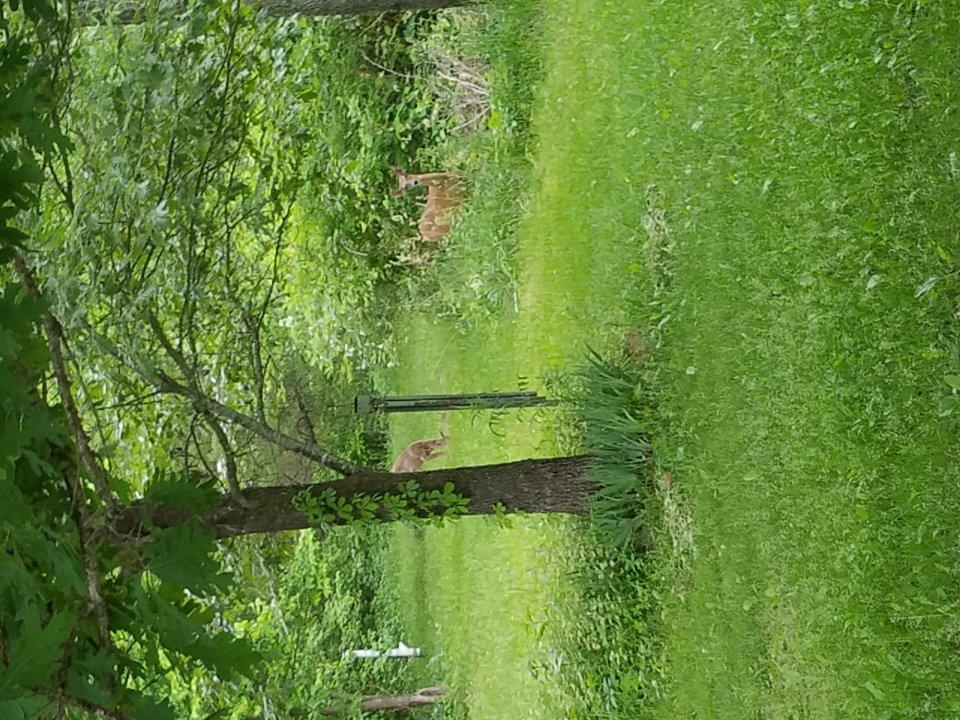 20180523_191531.jpg