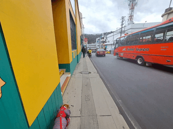 1000027260.gif