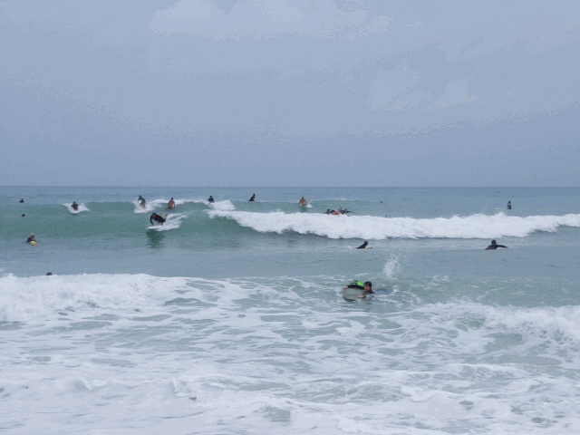 Surfing_at_North_Jetty_Park.gif