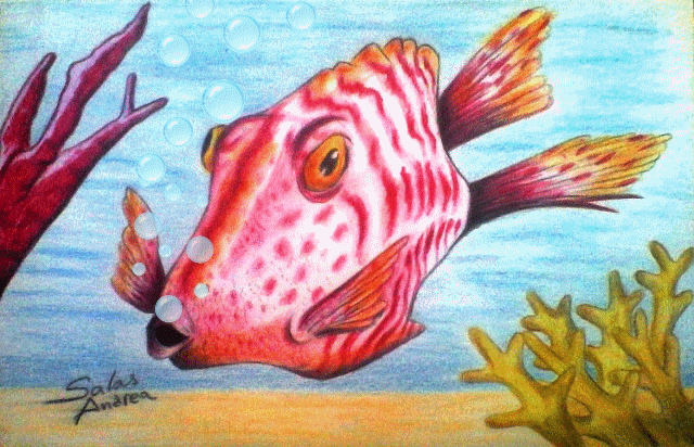 Colorfull fish GIF.gif