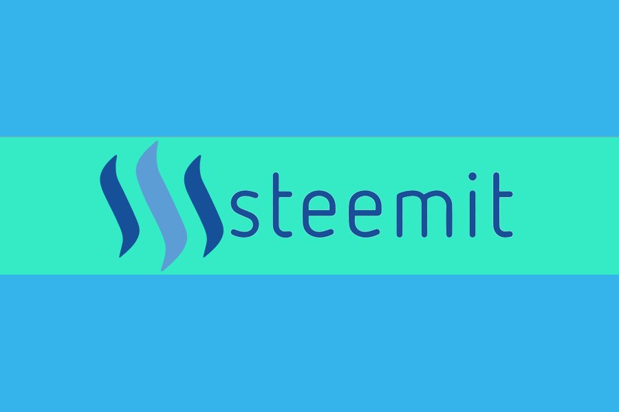 Steemit Flag Front.jpg