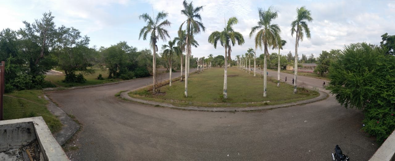 101 Gambar Alam Kehidupan Terbaik 101 Gambar Alam Kehidupan Terbaik