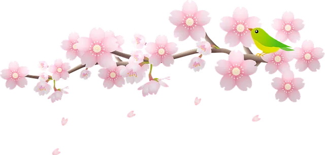 cherry-blossom-6008186_640.webp