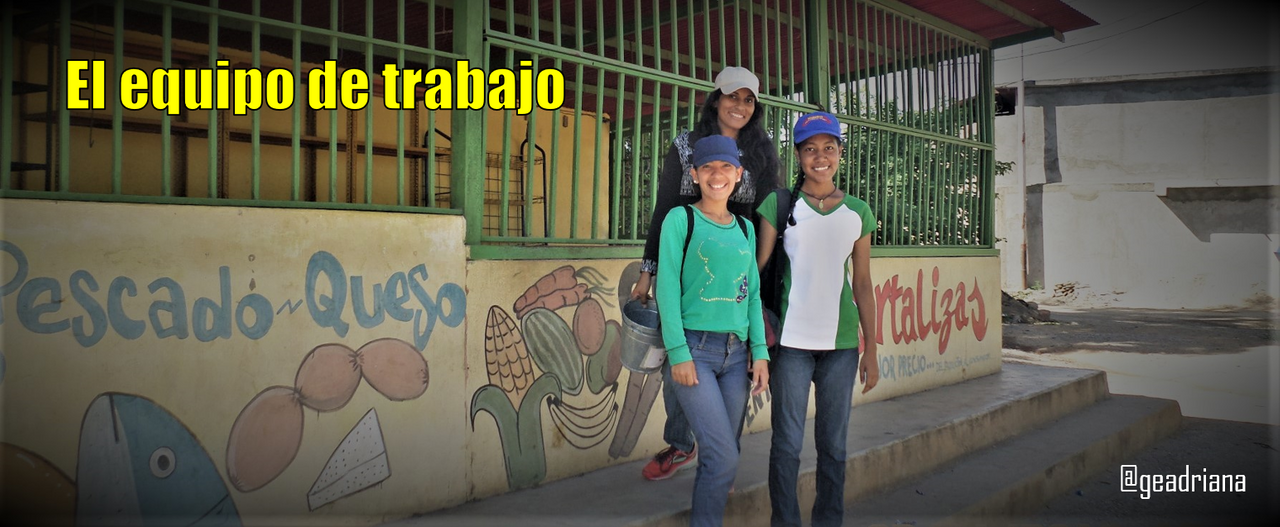 equipo de trabajo.png