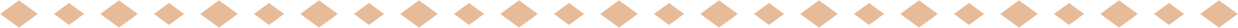 Horizontal Rhomb Big Small Orange Divider.png