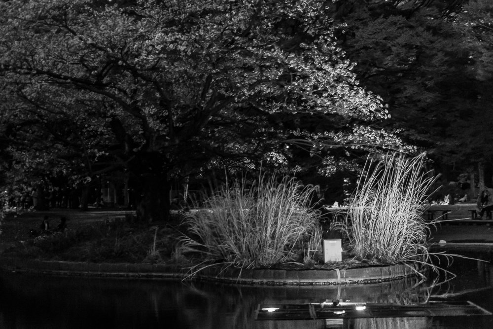 Japan Tokyo jardim 1 best bw.jpg