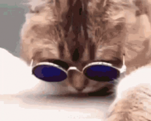 CoolGIF.gif