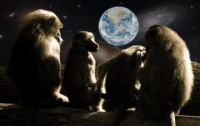 monkey-earth.jpg