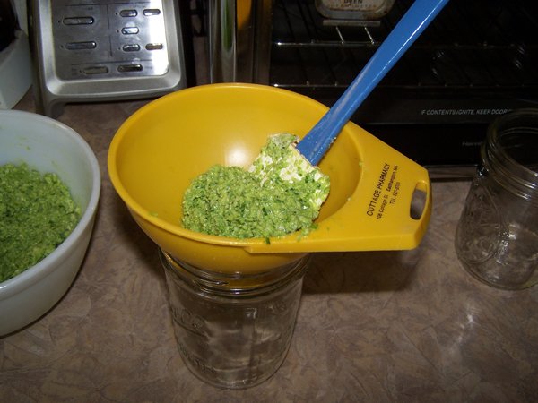 Pesto - funnel to fill crop June 2018.jpg