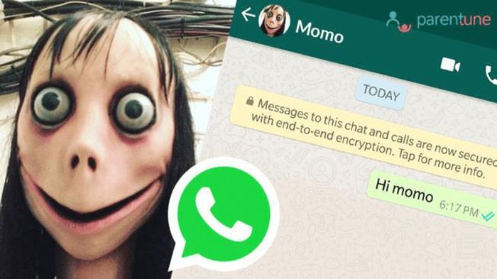 momo-challenge_20180806_134711.jpg