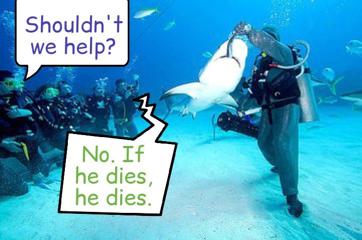 shkbait_ivan_sharko.jpg
