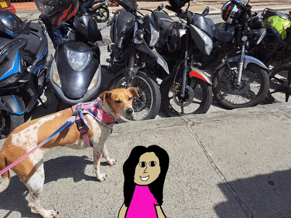 1000027599.gif