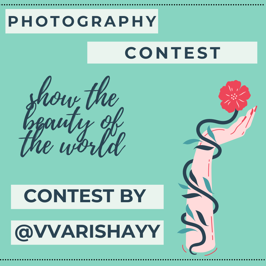 Turquoise Giveaway Winners Announcement Social Media Post with Illustration (2).png