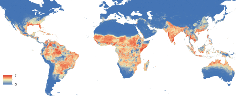 Global_Aedes_aegypti_distribution.gif