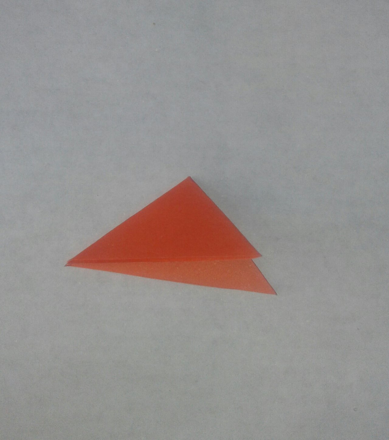 20210902_155520-1.jpg
