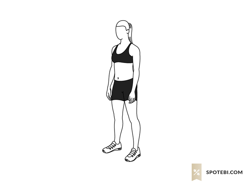 squat-exercise-illustration.gif