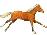 paard 1.gif