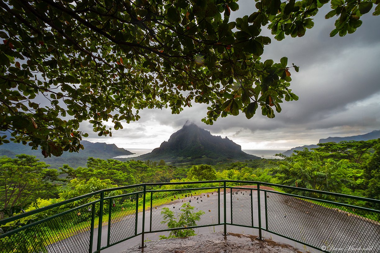 Mount Rotui From Belvedere.jpg