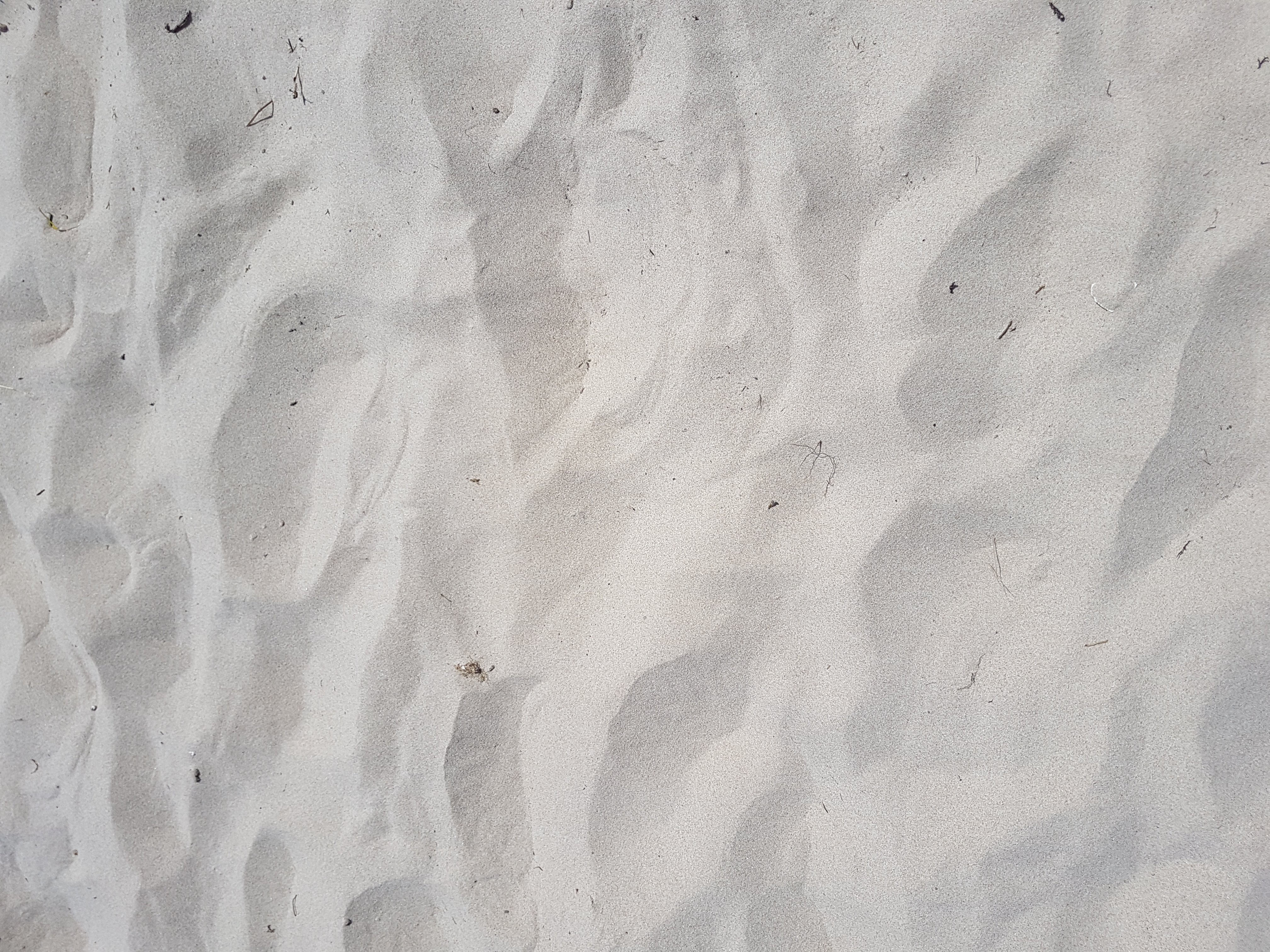 20180527_130538.jpg