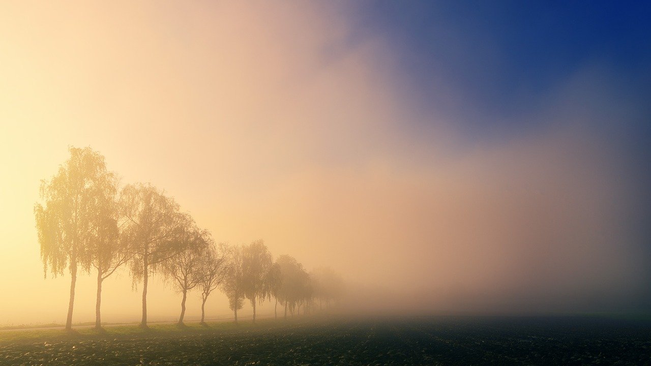 fog-3764991_1280.jpg