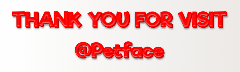 THANK-YOU-FOR-VISIT-Petface-26-03-2022.gif