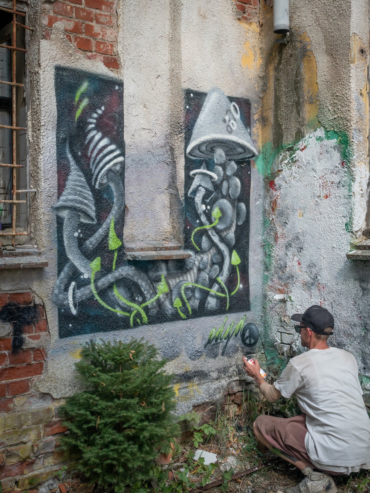 P9015642.jpg