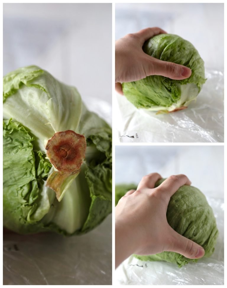 How-to-Keep-Lettuce-Fresh-www.countrycleaver.com_-768x973.jpg