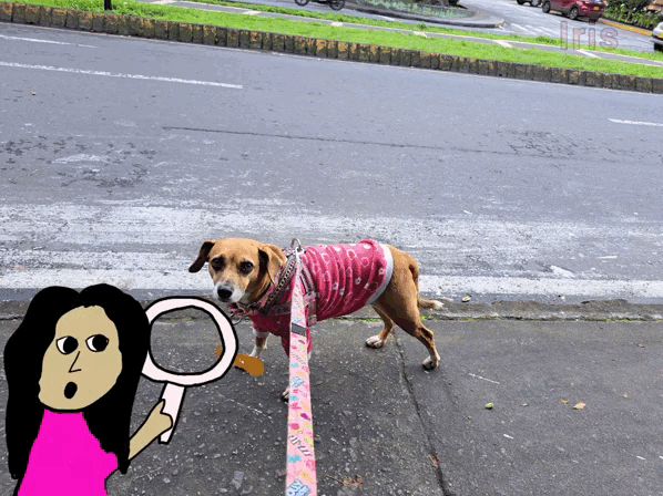 1000013301.gif
