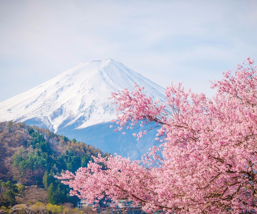 What to do/see in Japan? — Steemkr