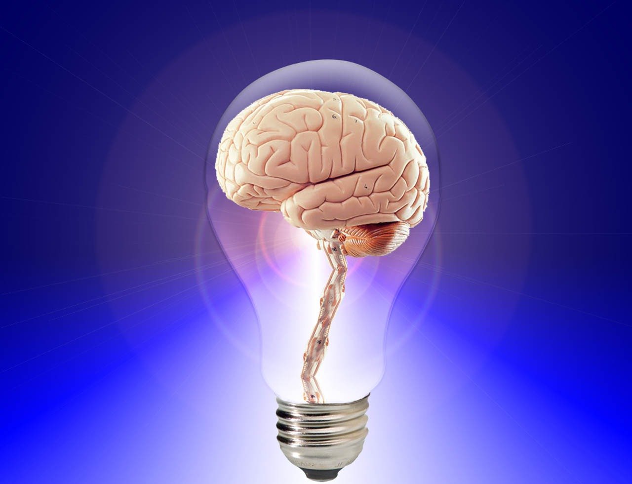 brain-20424-pixabay.jpg