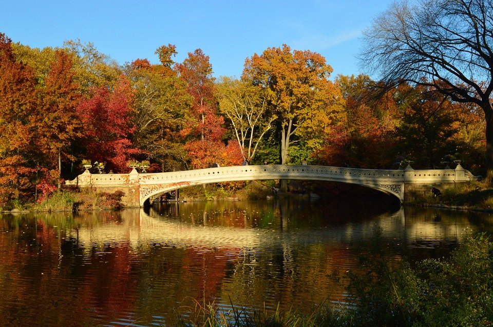 Manhattan-Autumn-Central-Park-Landscape-New-York-2807919.jpg