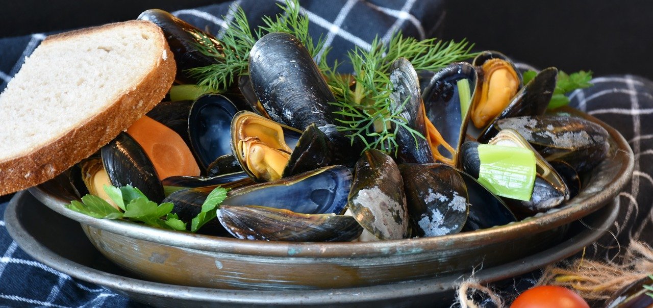 mussels-3148439_1280.jpg