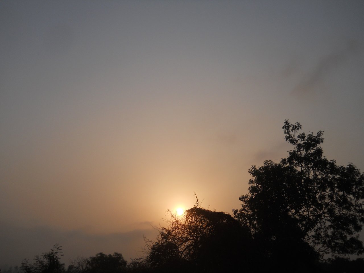DSCN3383.JPG