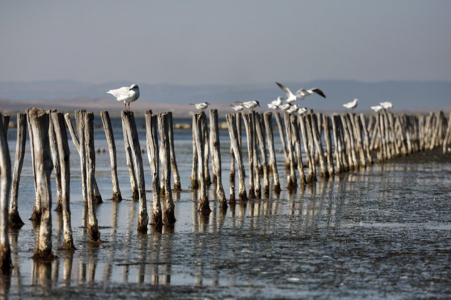 Pomorie_Seagull_Airport_ph002_s.jpg