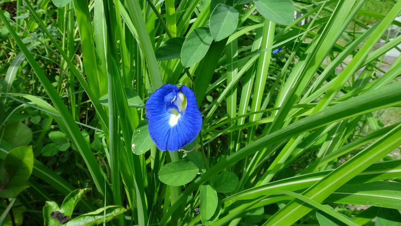 DSC03822.JPG