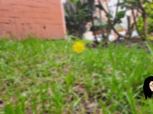 1000014182.gif