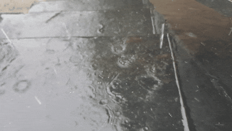 1000024554.gif