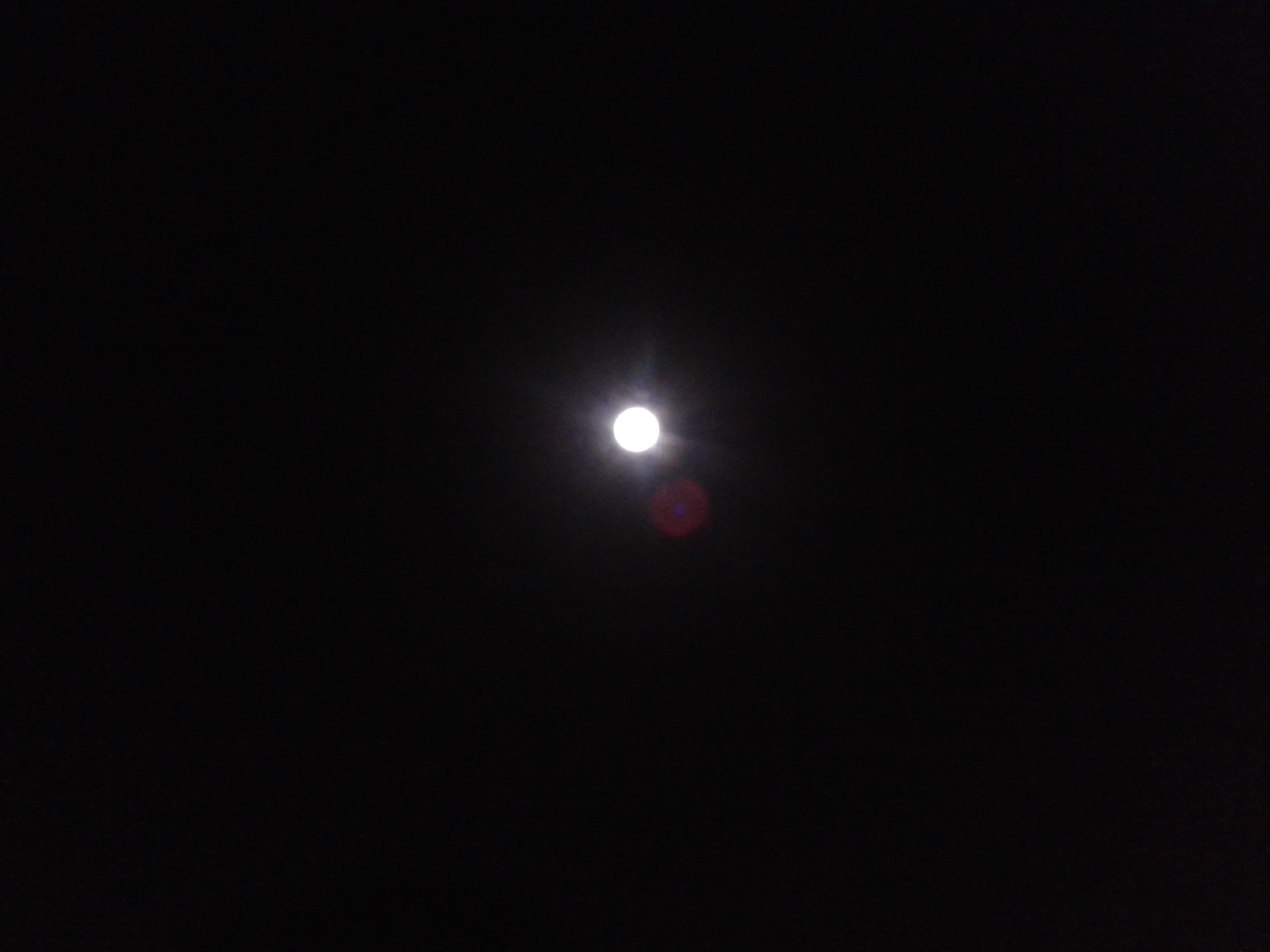 20180102_223917.jpg