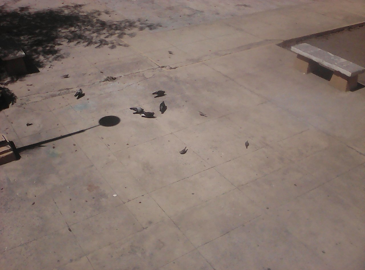 IMG19800107033428.jpg