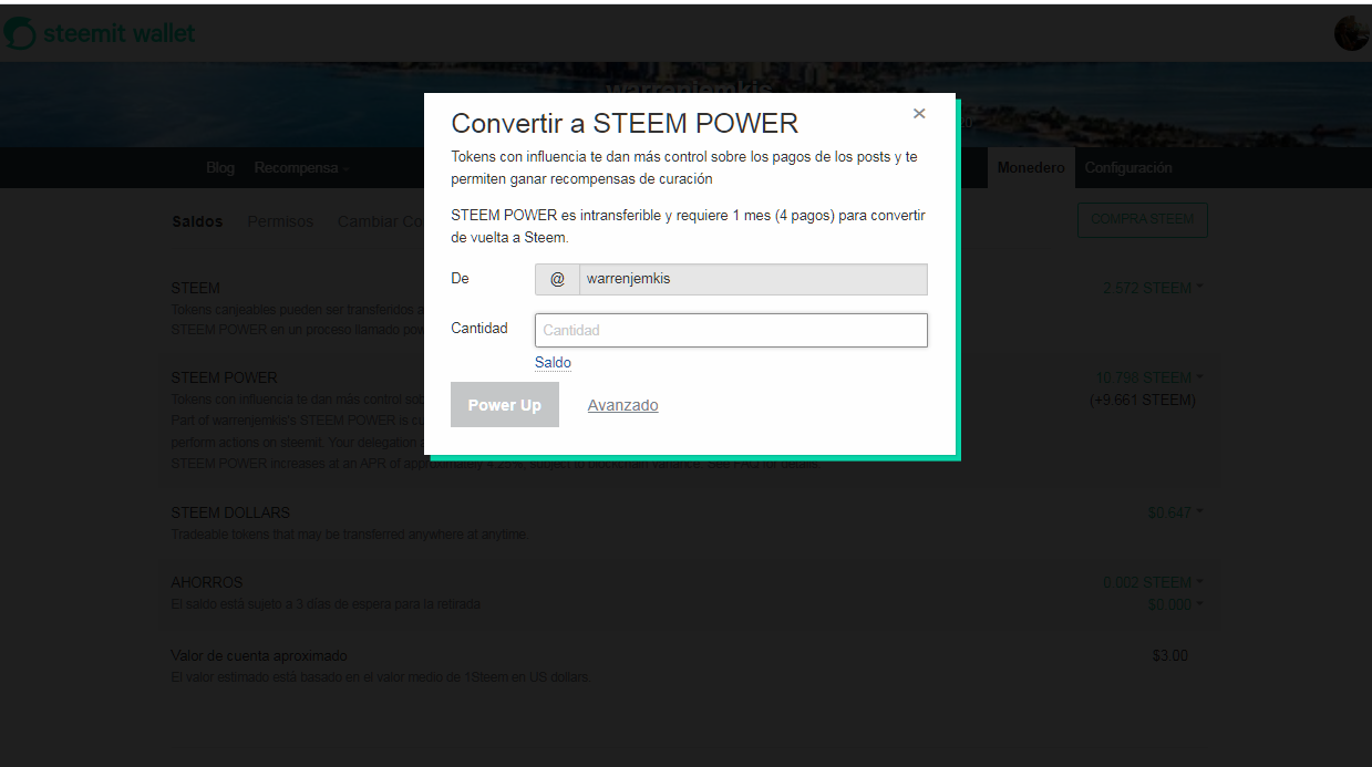 steen power3.png