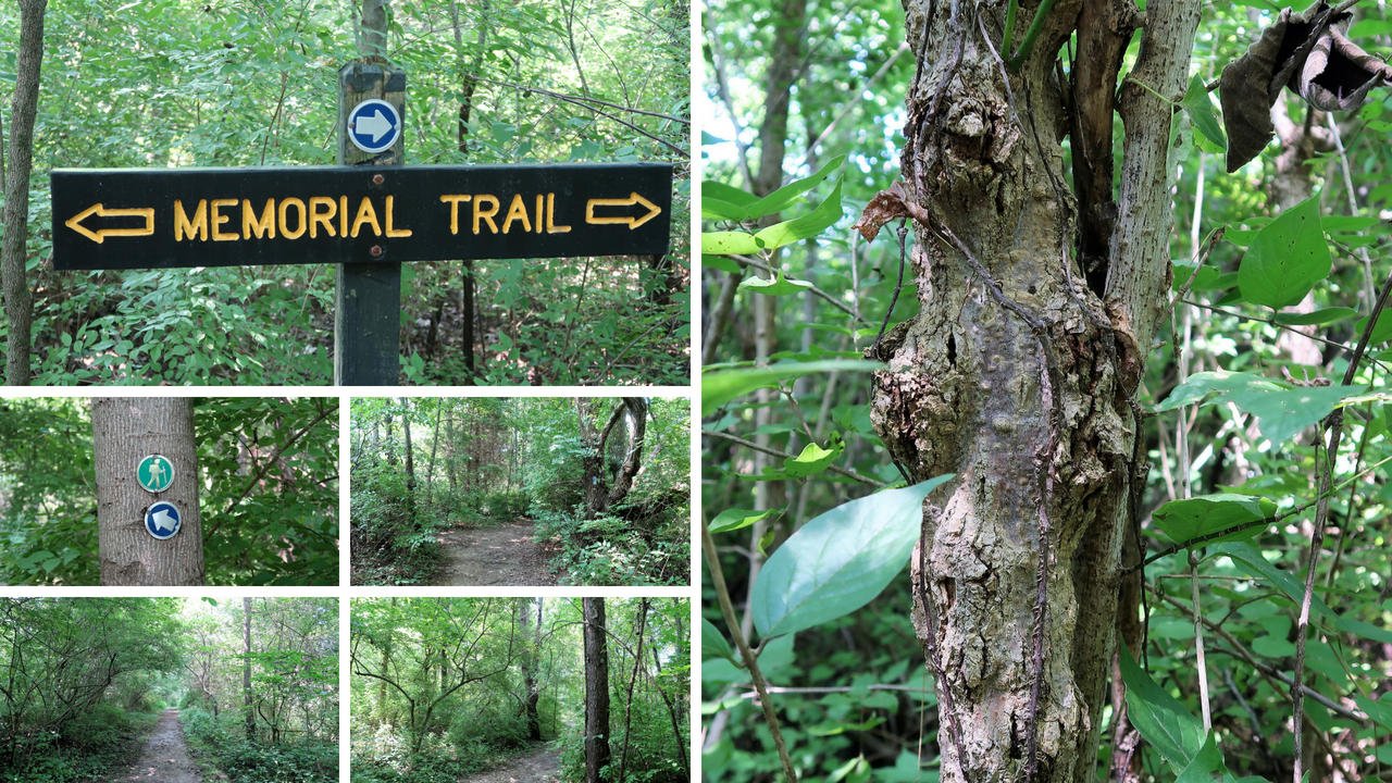 Lieber State Recreation Area at Cagles Mill Lake (9).png