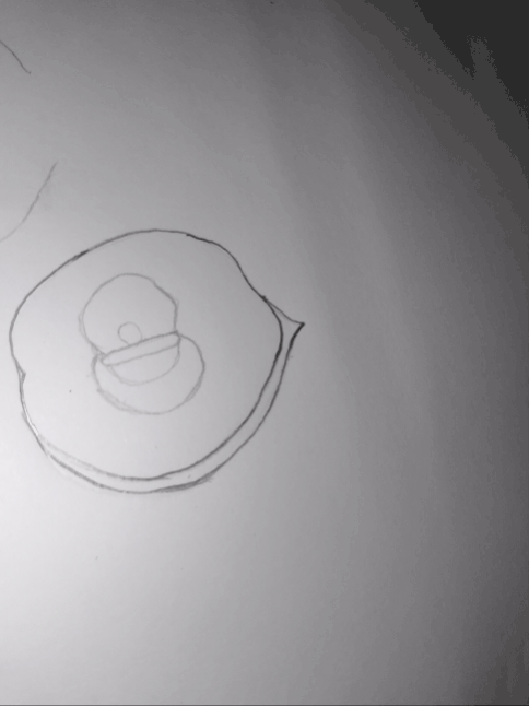 1000052023.gif