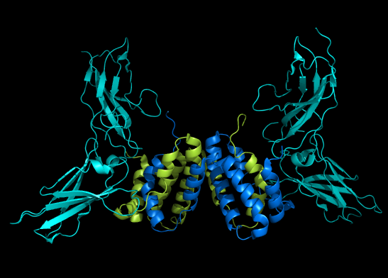 for_Steemit_molecule_butterfly_3.png