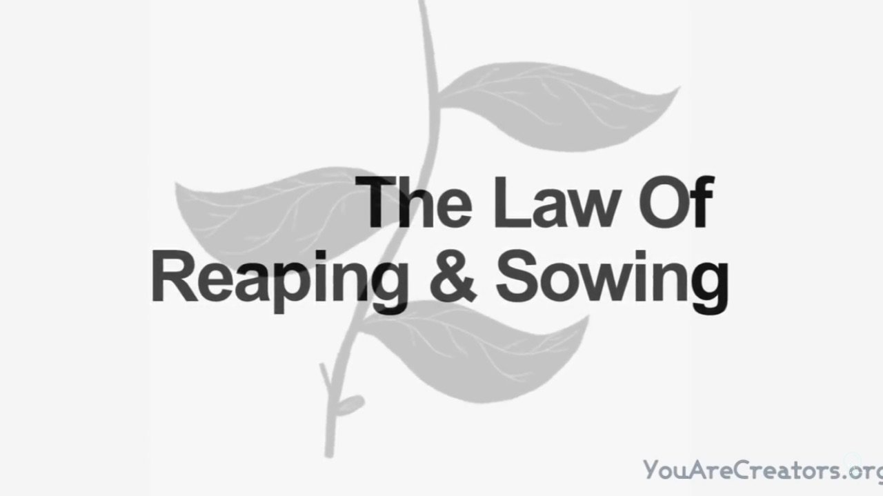 law-of-reaping-sowing-1.jpg