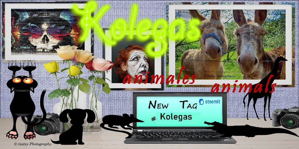 KOLEGAanimales.jpg